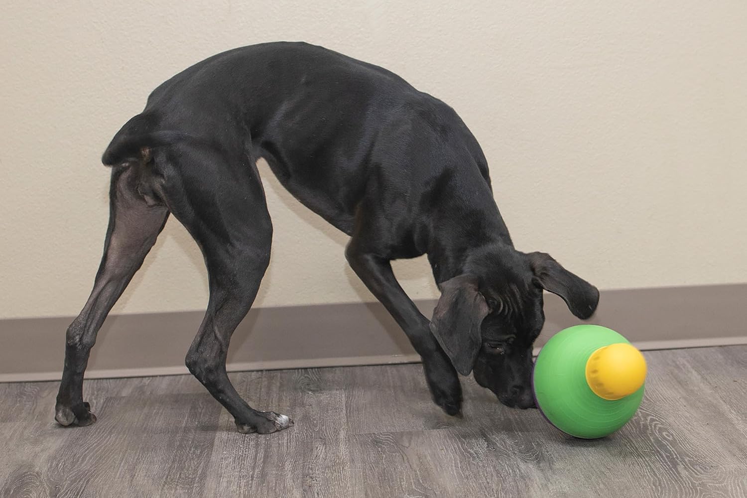 Starmark Bob-A-Lot Juguete Interactivo para Perros Mascotas, Grande...