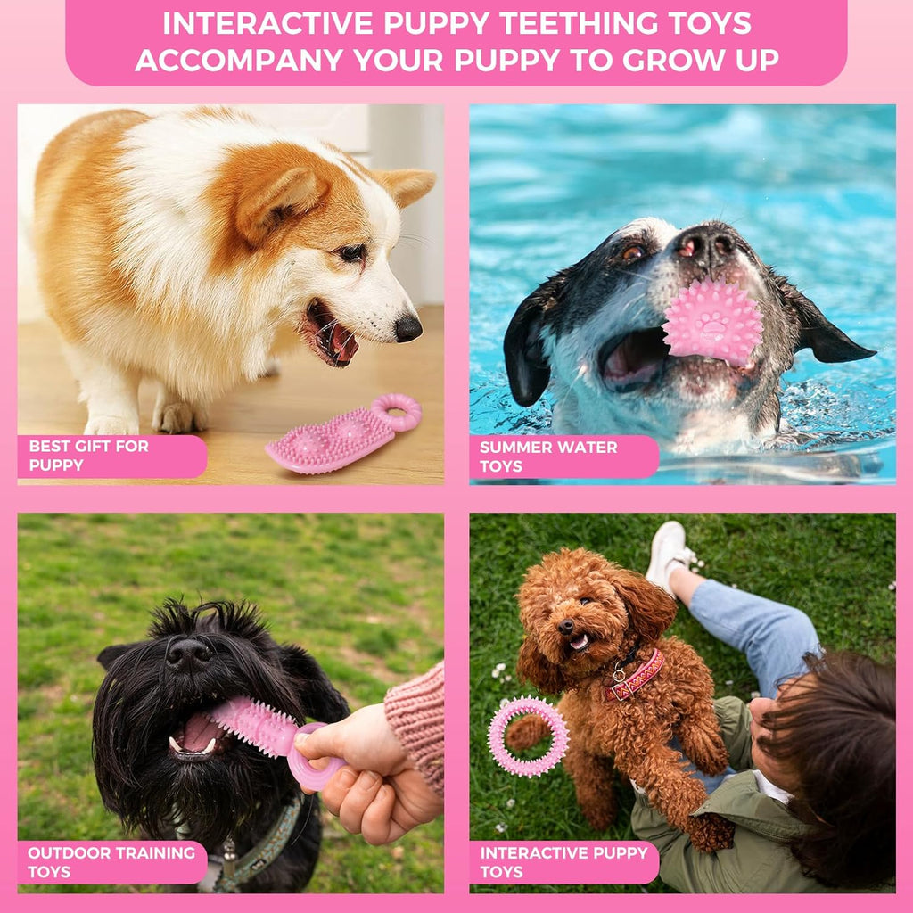 CGBD Juguetes para cachorros, paquete de 9 juguetes masticables par...