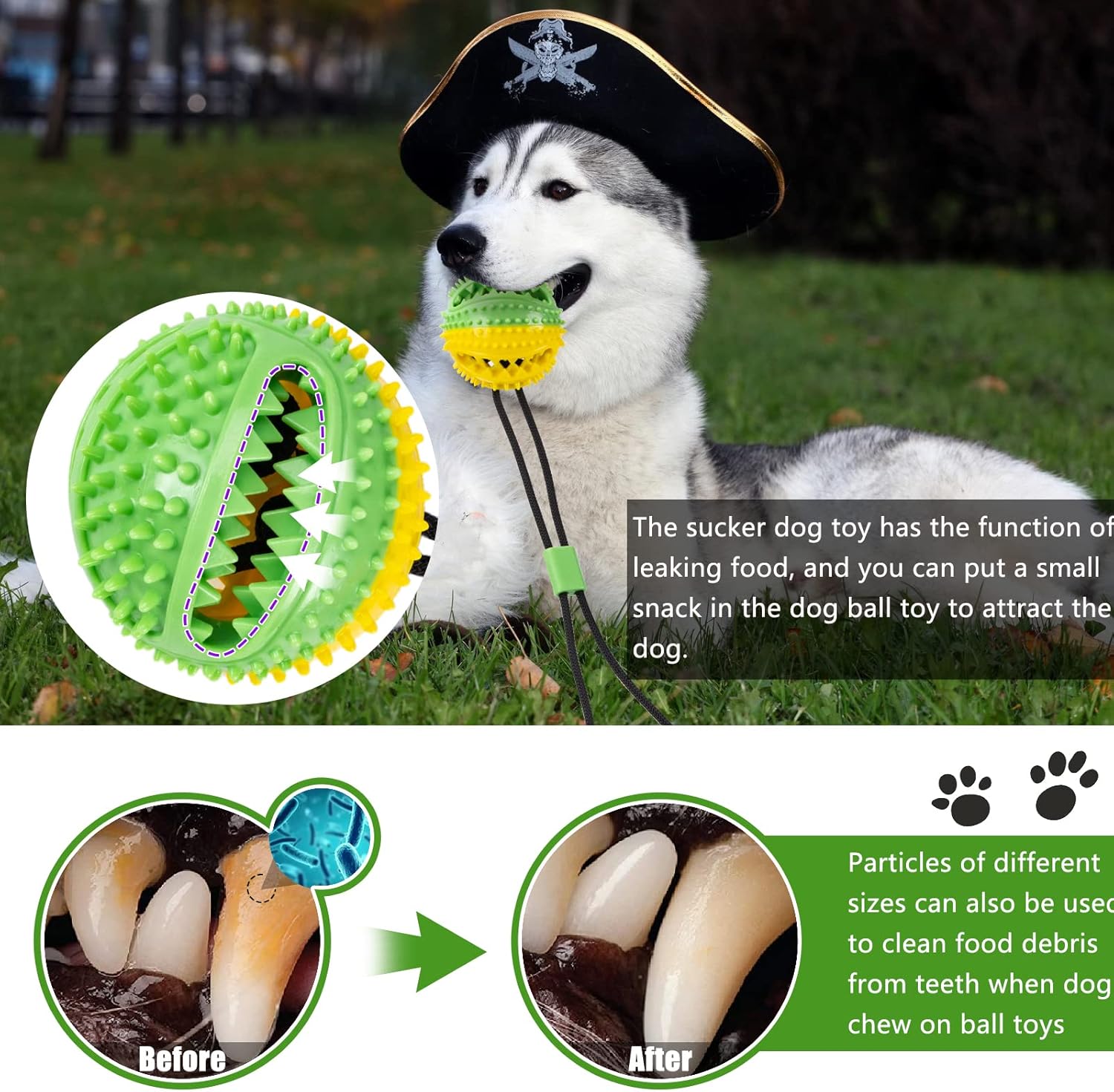 Askhald Juguetes para Perros, Juguetes Masticables para Perros con...