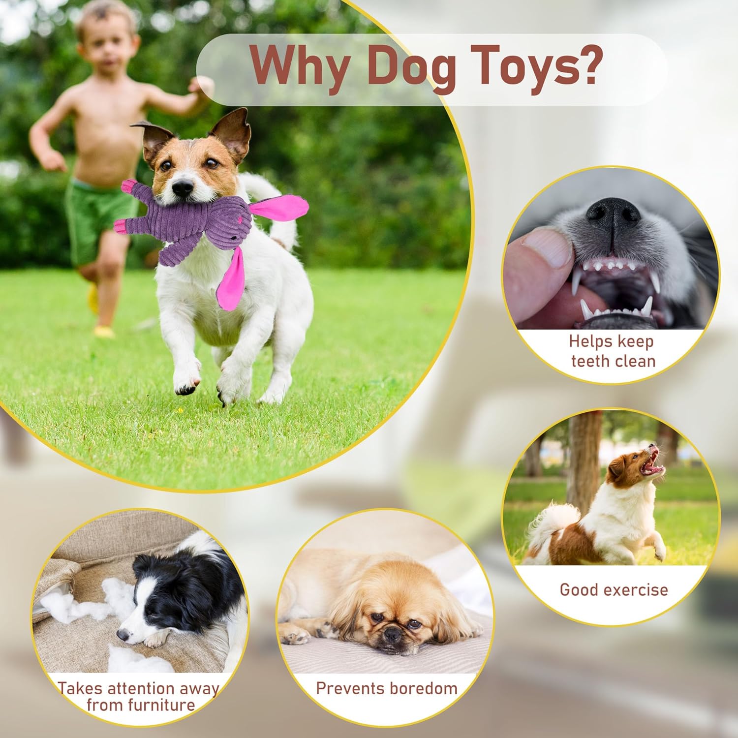 Prime Pets Juguetes para perros, paquete de 5, juguetes chirriantes...