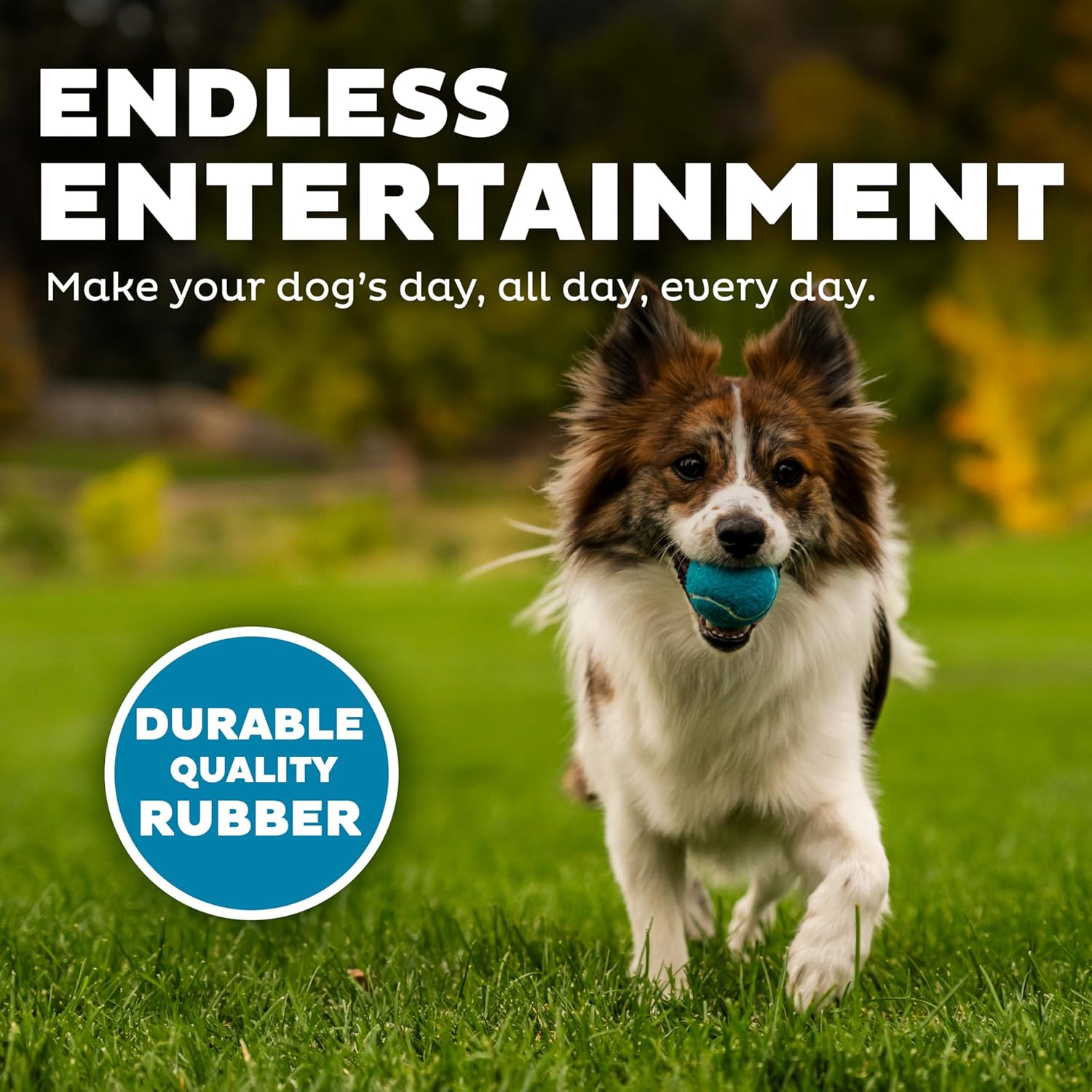 Outward Hound Squeaker Ballz - Pelotas de tenis chirriantes para pe...