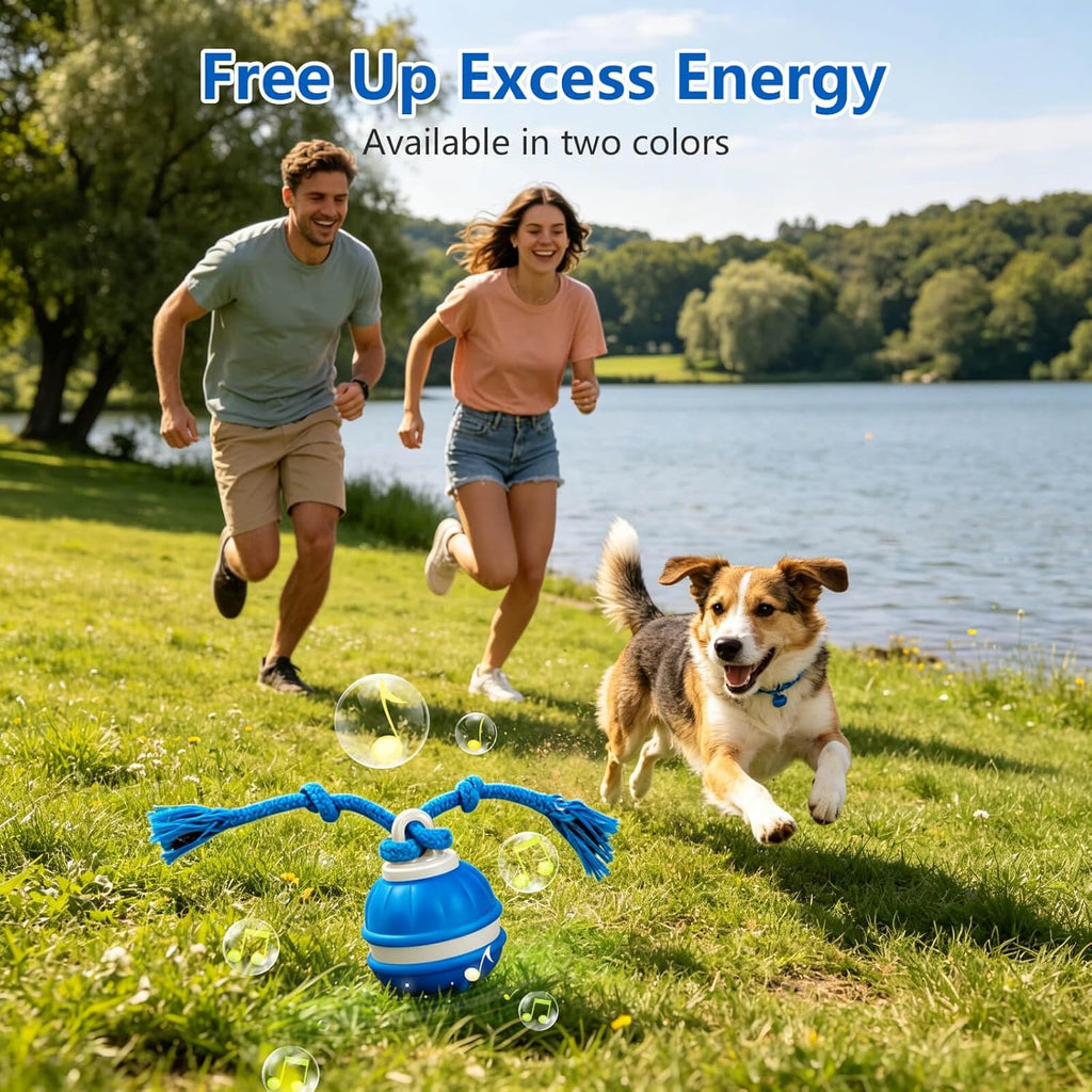 Craynivel Pelota interactiva para perros, juguete de 360° con luces...