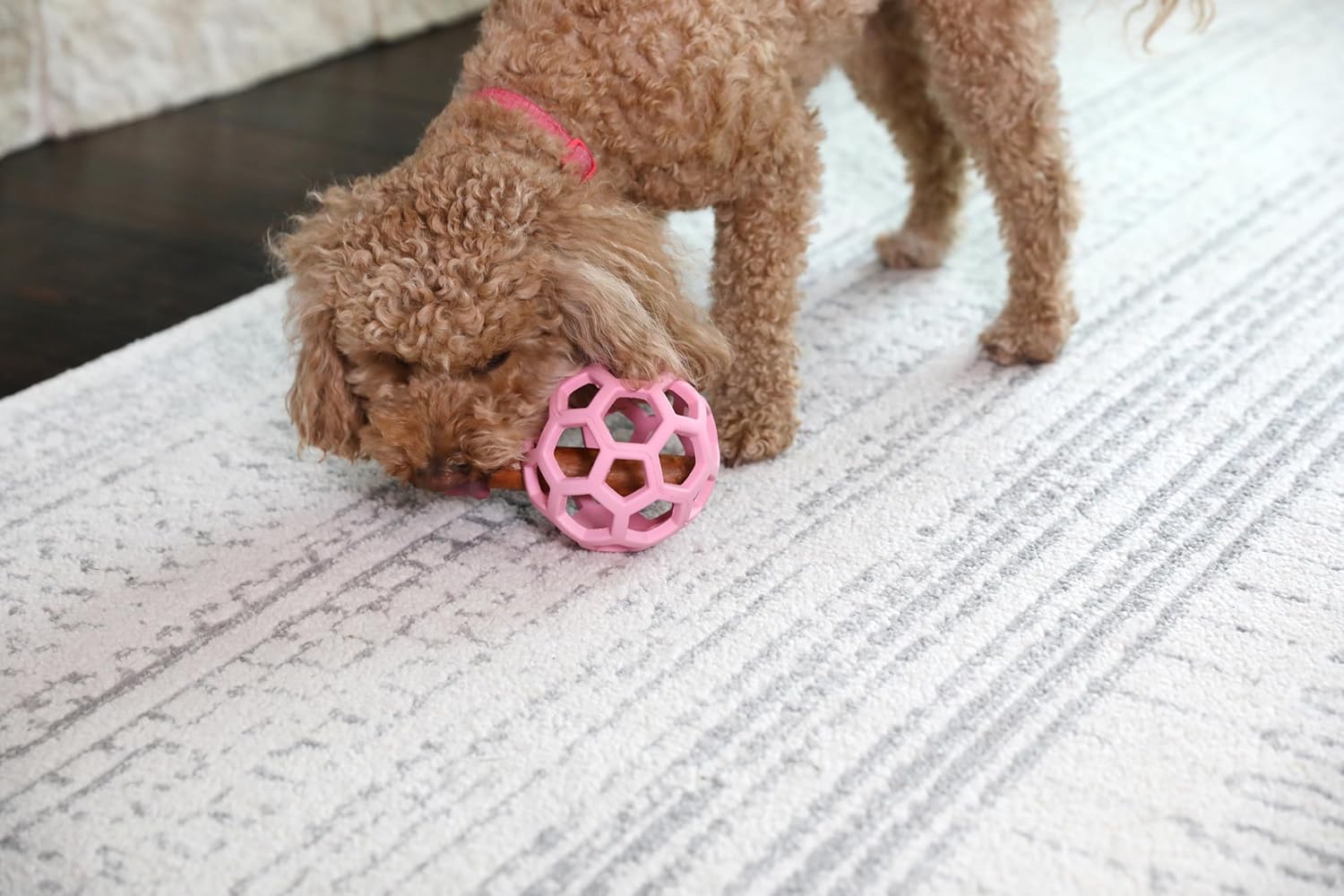 JW Pet HOL-ee Roller™, bola de rompecabezas de juguete para perros,...
