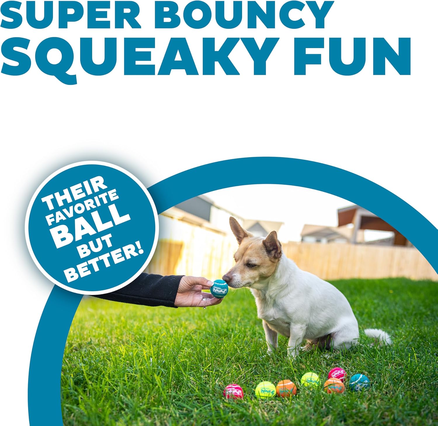 Outward Hound Squeaker Ballz - Pelotas de tenis chirriantes para pe...