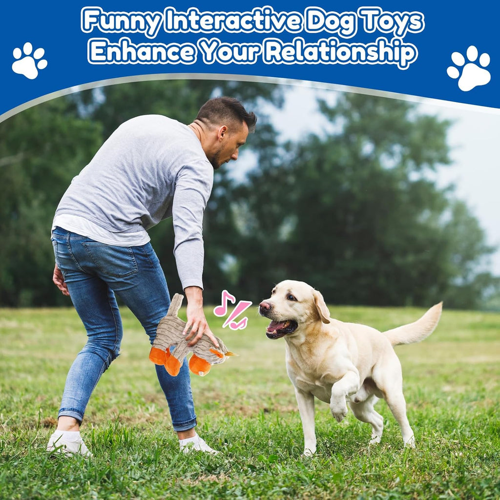 loncoldy Juguetes chirriantes para perros, juguetes resistentes par...