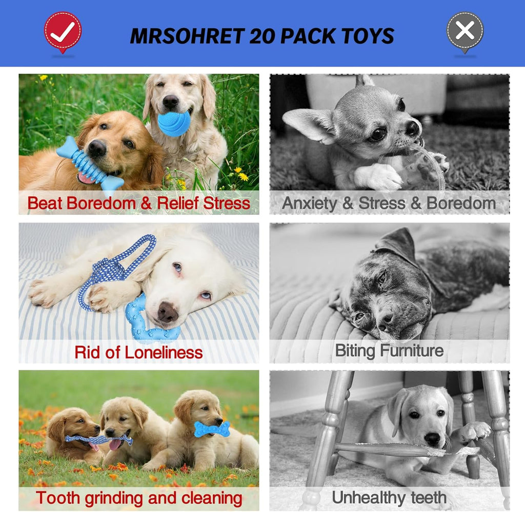 MRSOHRET 21 Piezas Juguetes Masticables para Cachorros - Serie Azul...