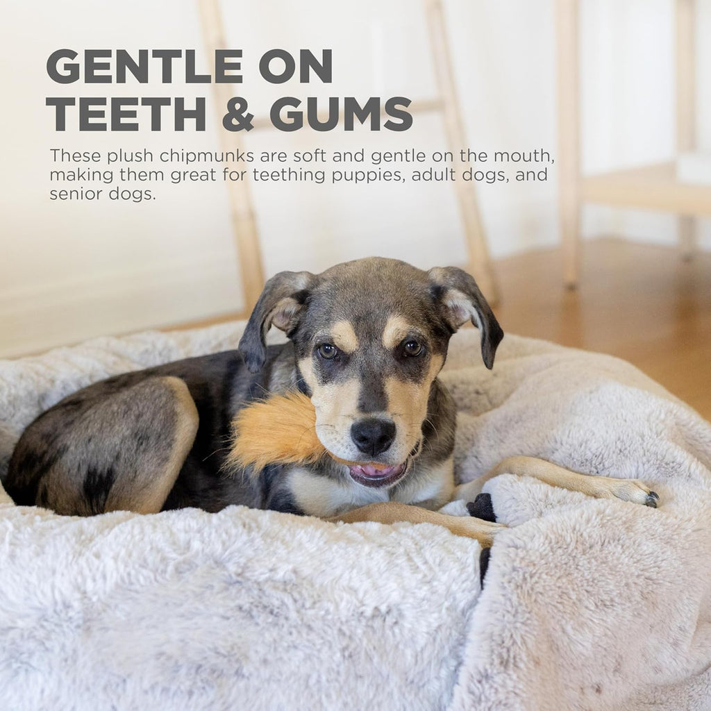Outward Hound Nina Ottosson - Juguetes de mapaches de peluche de re...