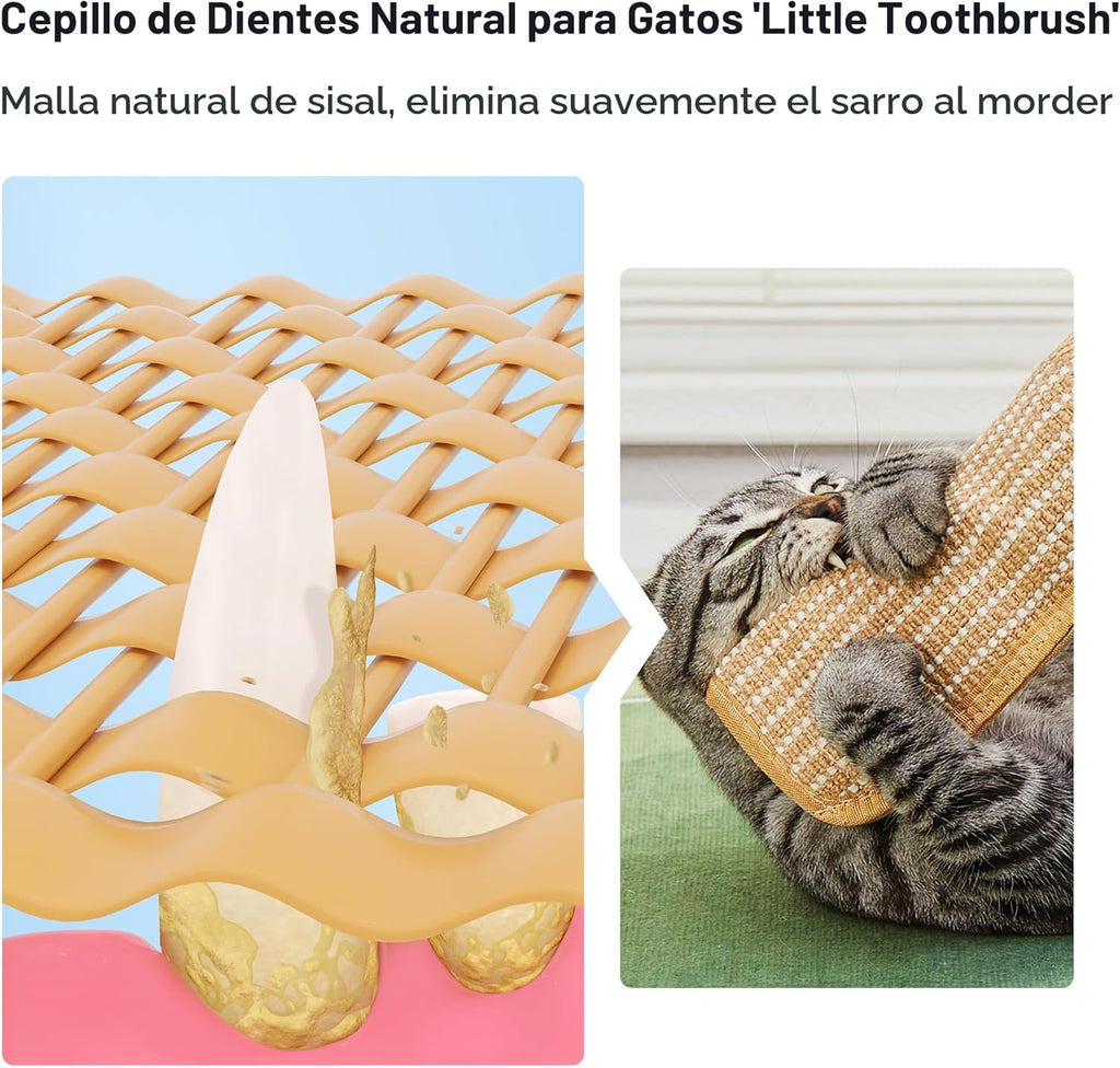 Potaroma Paquete de 2 juguetes para gatos con hierba gatera orgánic...