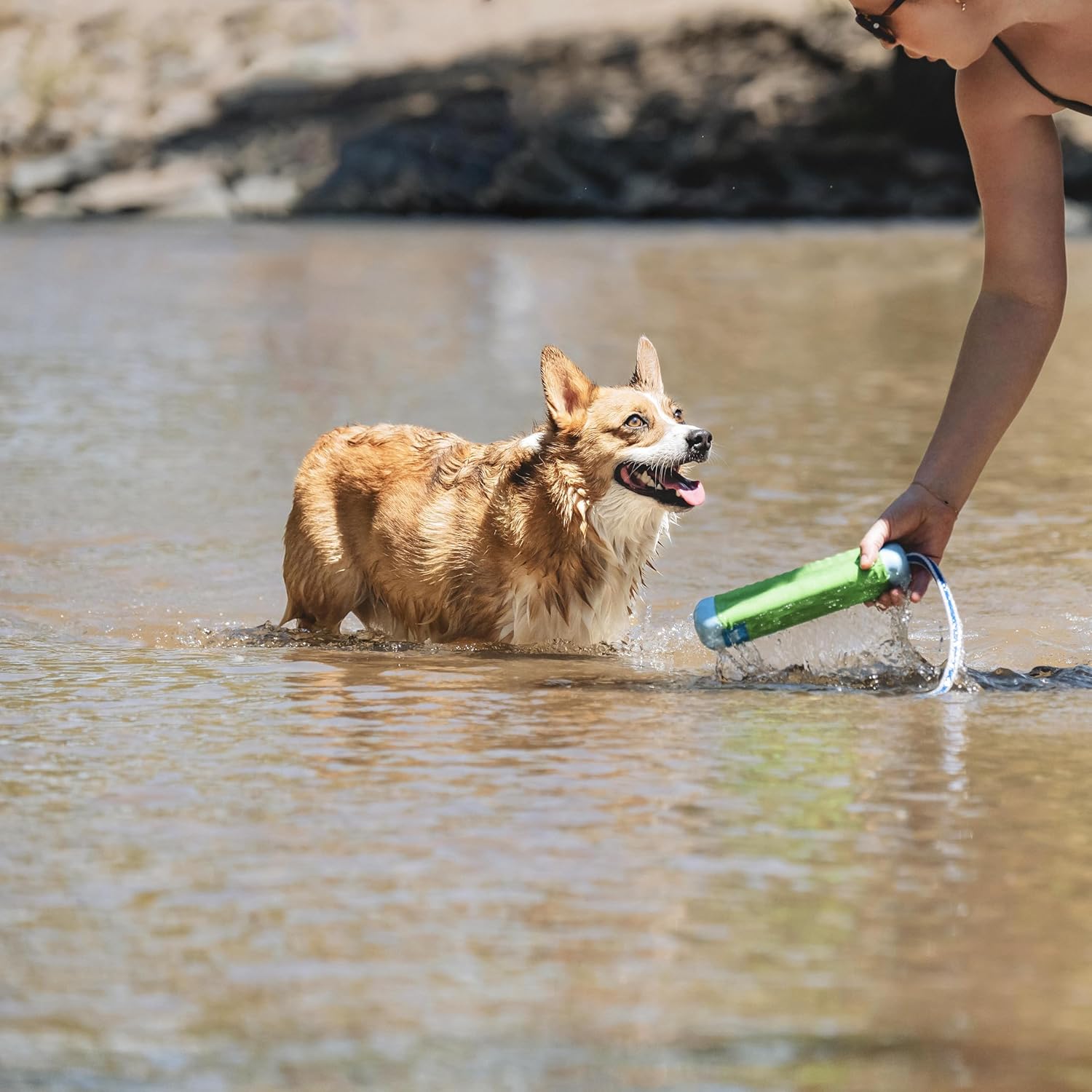 Chuckit! Parachoques Anfibio Flotante Juguete de Buscar para Perros...