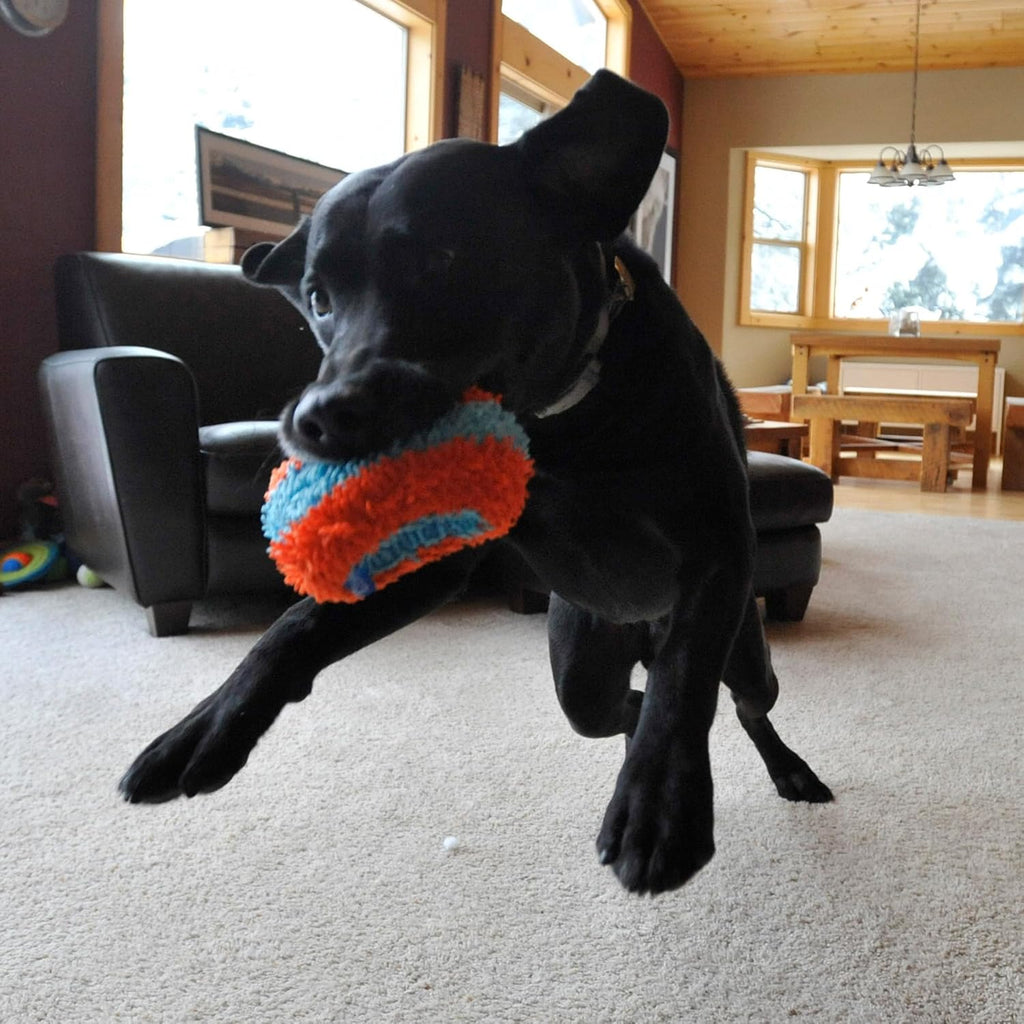 Chuckit! Juguete Rodillo para Buscar en Interiores para Perros - Ju...