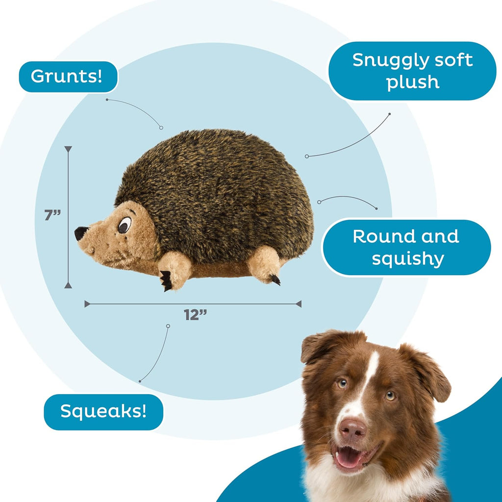 Outward Hound - Juguete de peluche Hedgehogz para perro, tamaño L