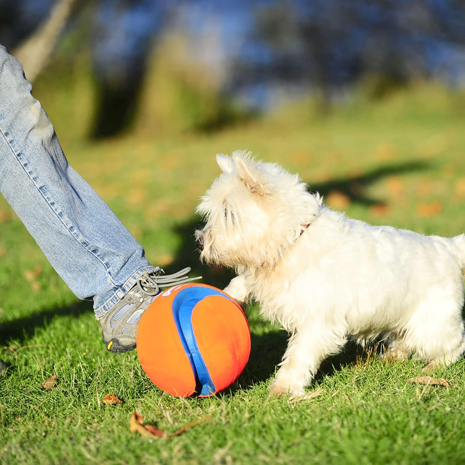 Chuckit! Kick Fetch Ball - Juguete para perros \u2013 Flota en el a...