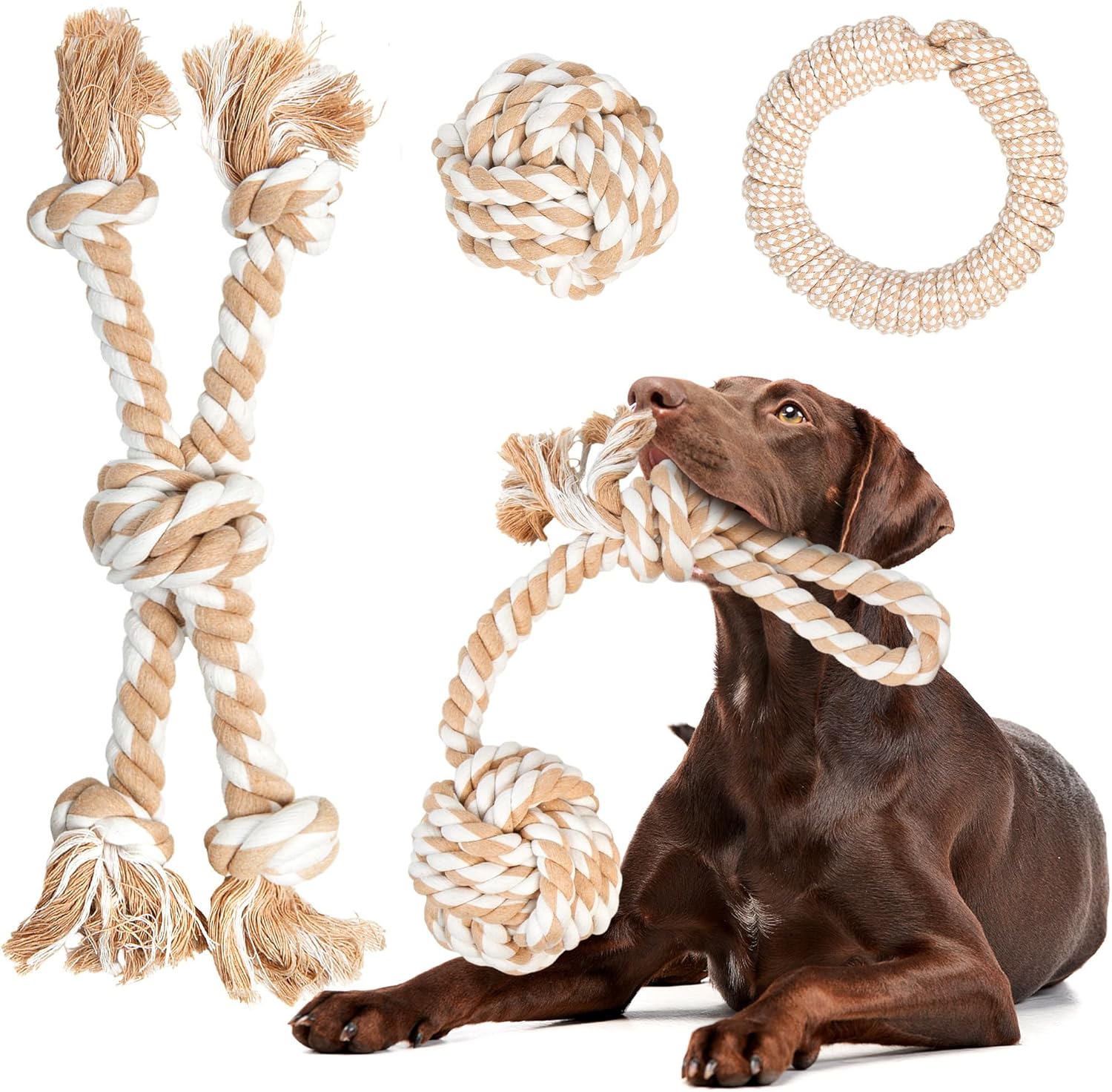 Fida Juguetes de Cuerda para Perros de Alta Resistencia para Mastic...