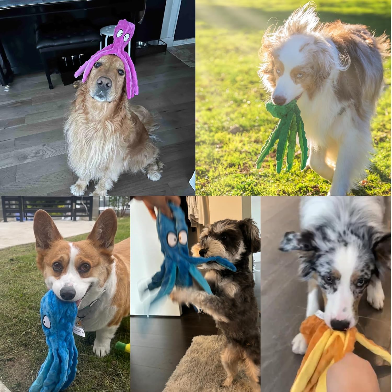 HGB Juguetes chirriantes para perros, pulpo sin relleno, juguetes g...