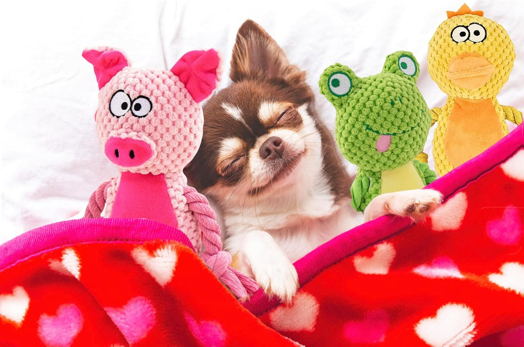 Leash and Leisure Juguetes de peluche para perros, paquete de 3 var...