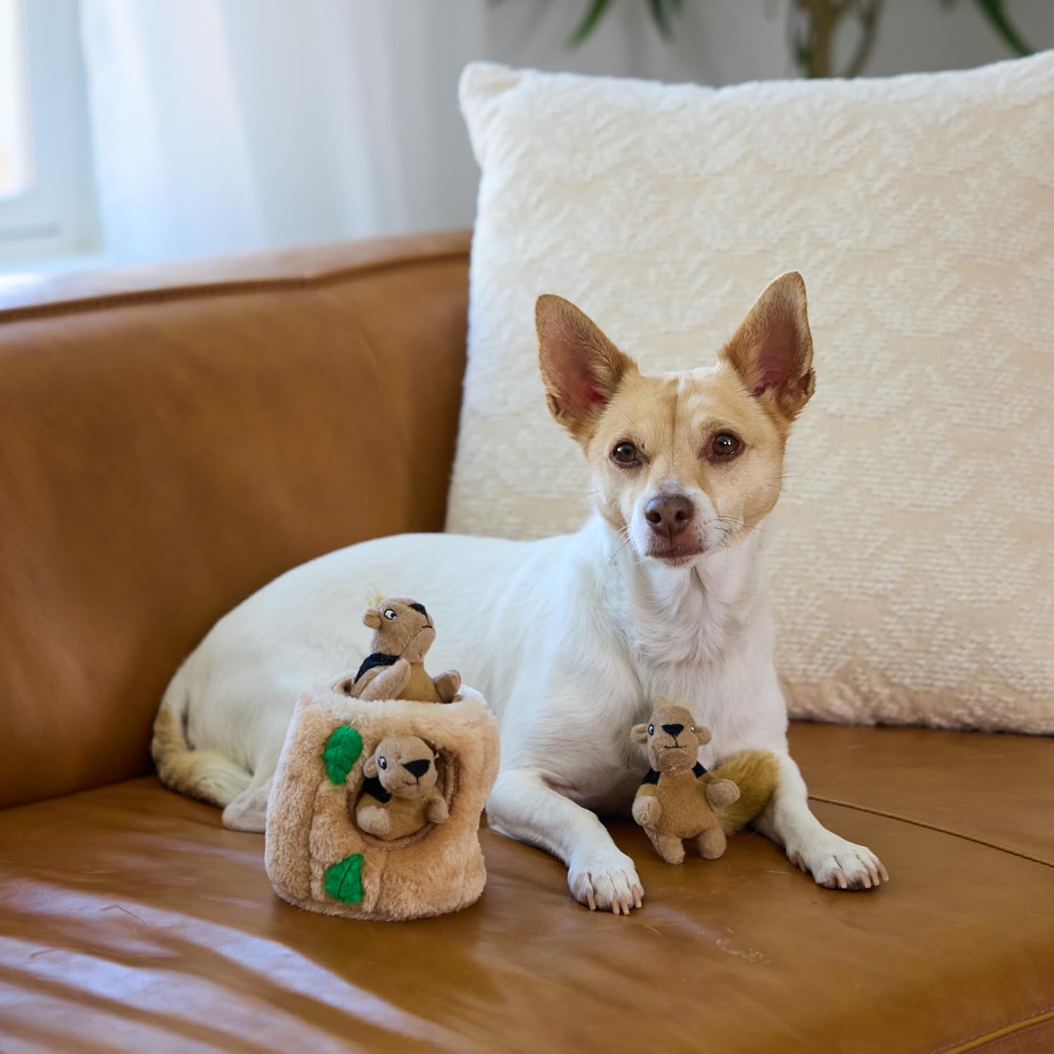 Outward Hound Hide A Squirrel - Rompecabezas de peluche para perro,...