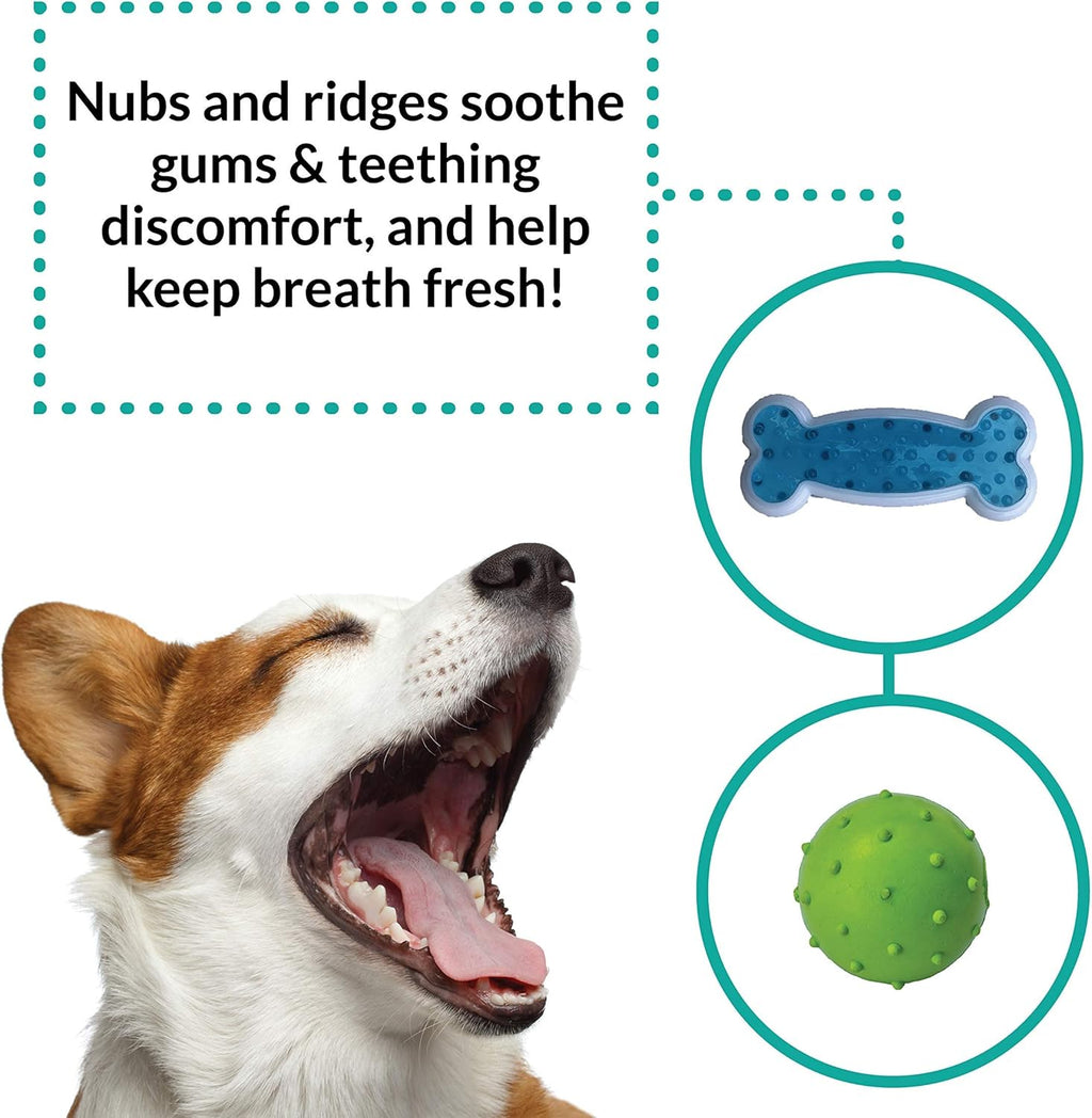 Rocket &amp; Rex, juguetes masticables para perros y cachorros. Lim...
