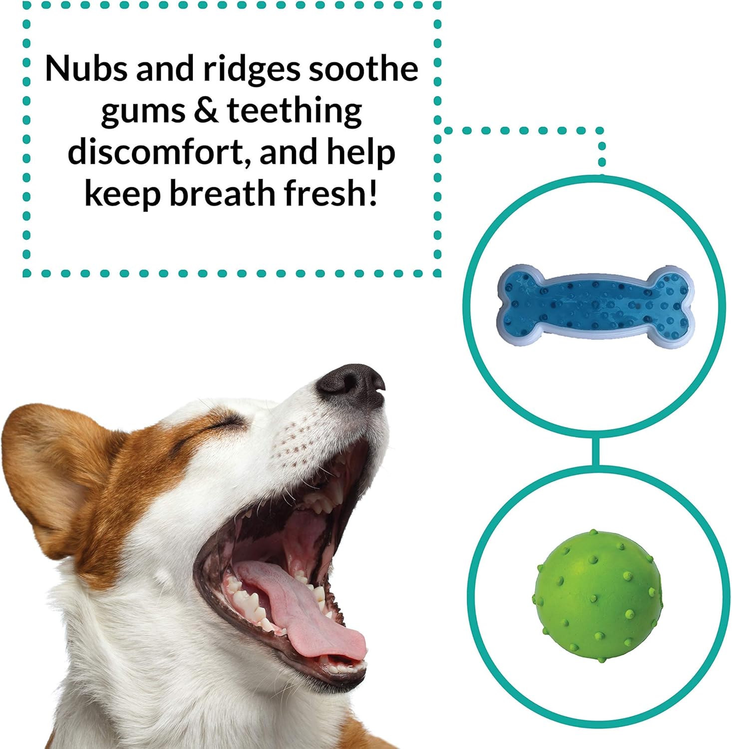 Rocket &amp; Rex, juguetes masticables para perros y cachorros. Lim...