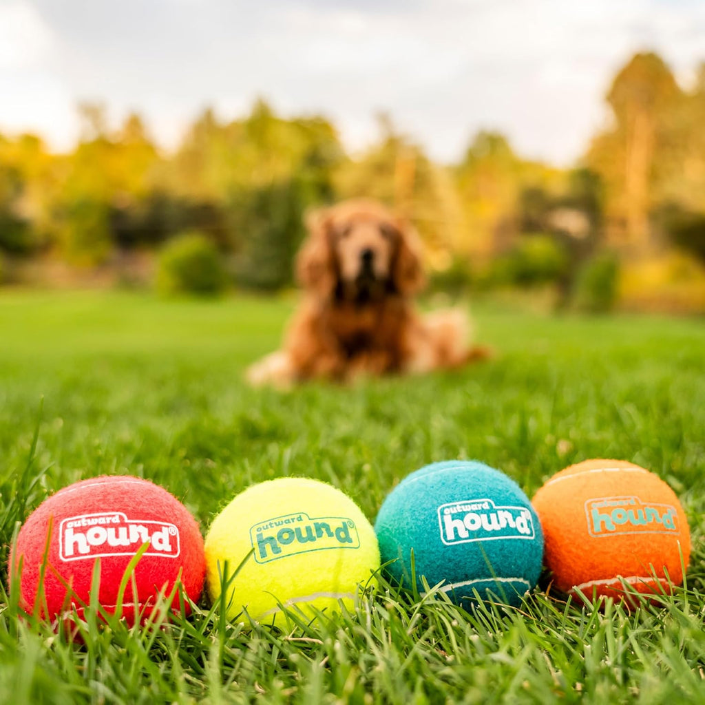 Outward Hound Squeaker Ballz Paquete de 4 Juguetes de Pelotas de Te...