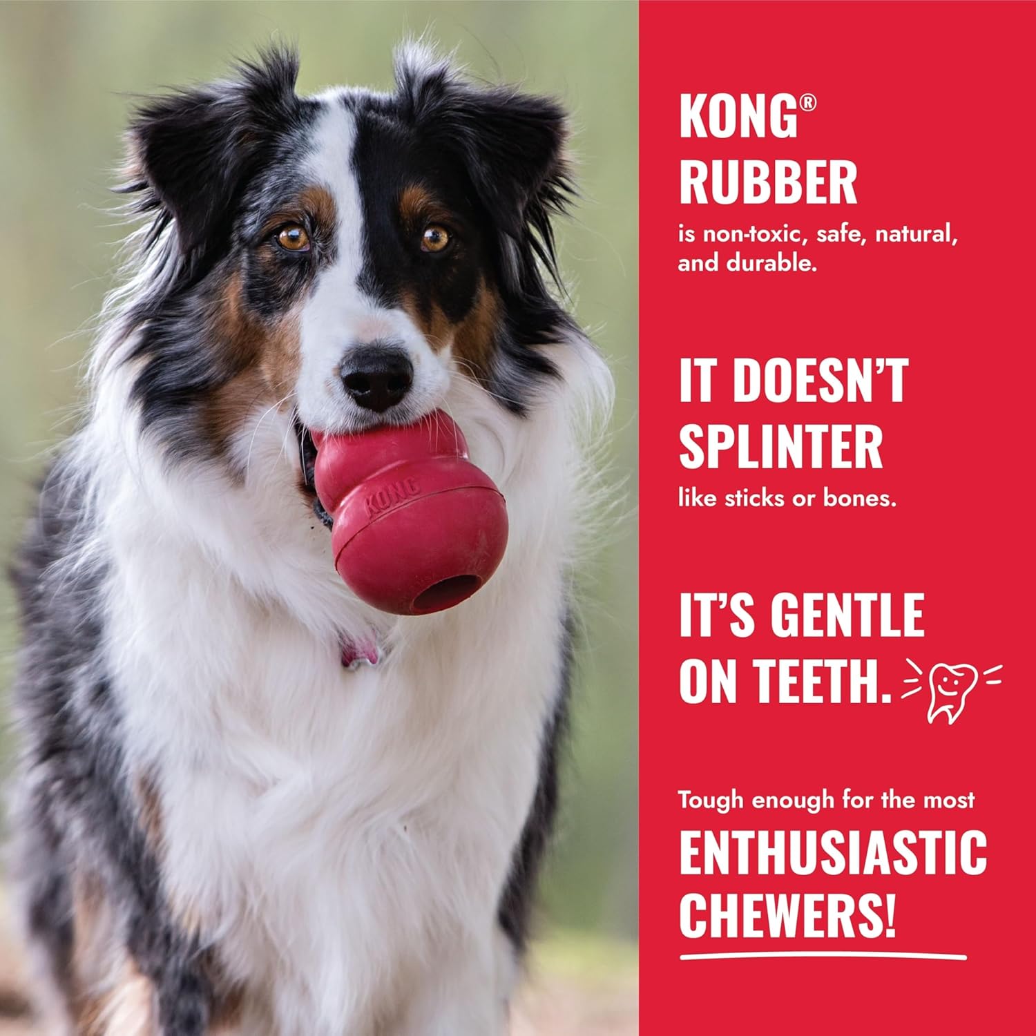KONG Goodie Bone - Hueso de perro clásico de goma natural duradero,...