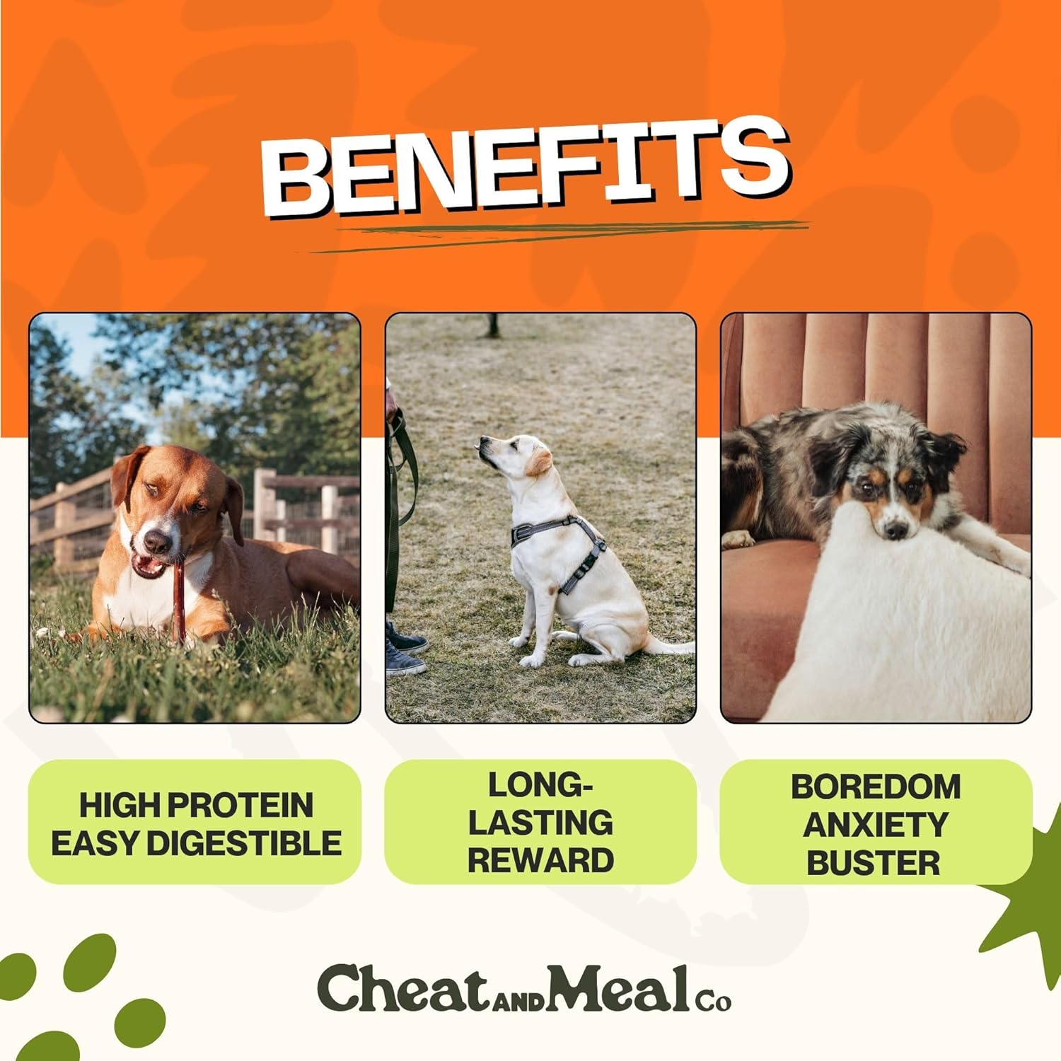 Cheat and Meal Co Bully Sticks - Juguetes masticables para masticad...