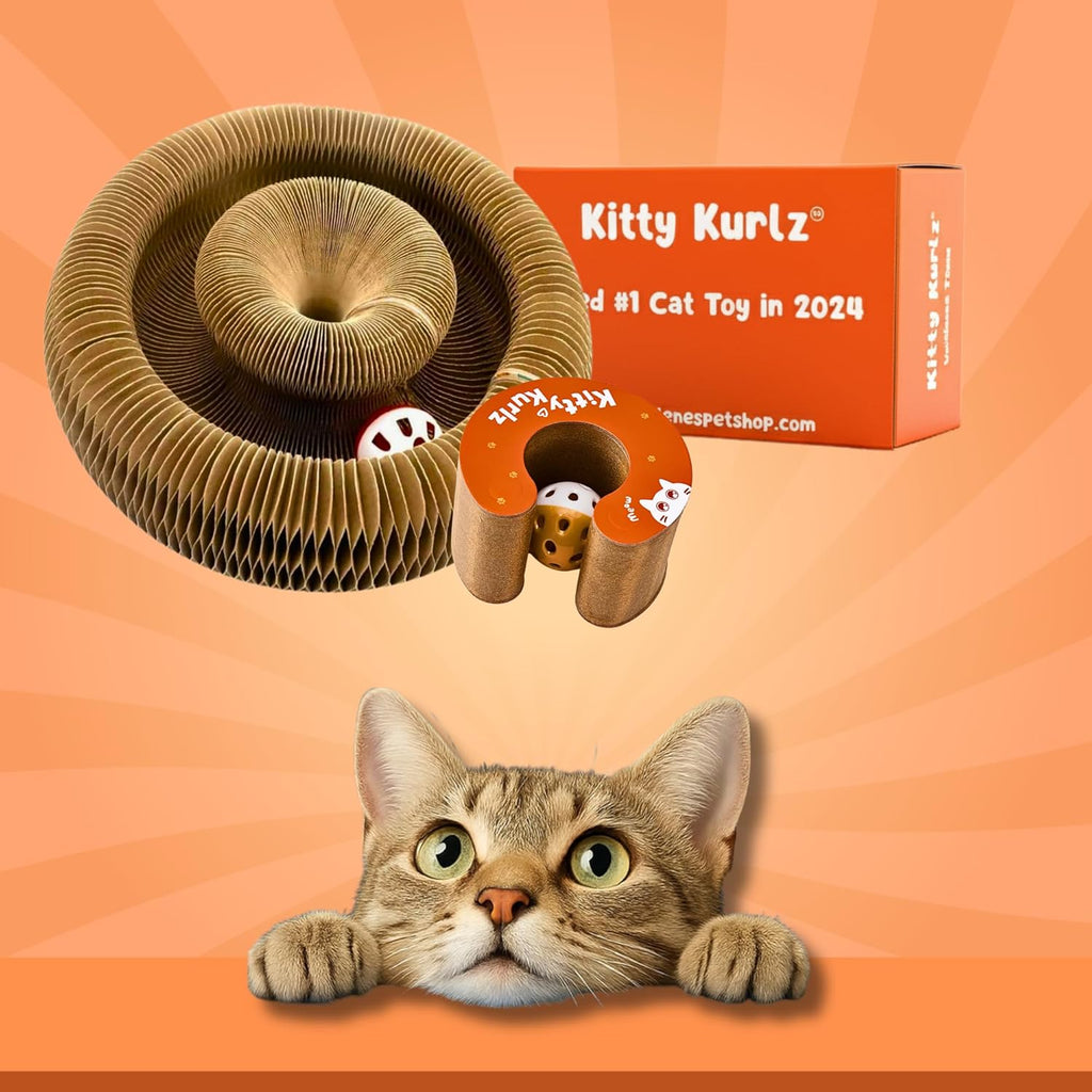 Kitty Kurlz - Juguete magnético Kitty Kurlz y rascador de cartón re...
