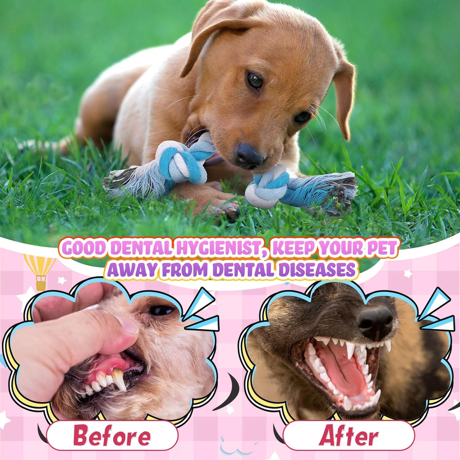 Paterr Juguetes de cuerda para perros, juguetes multicolor para cac...