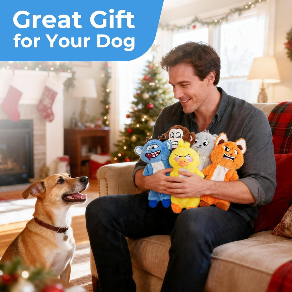 Prime Pets Paquete de 5 juguetes chirriantes para perros, sin cuerp...