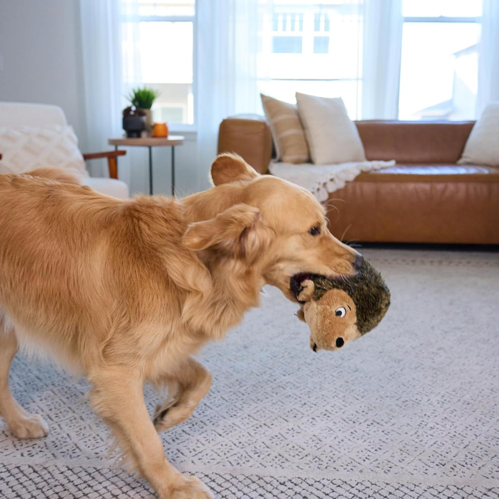 Outward Hound - Juguete de peluche Hedgehogz para perro, tamaño L