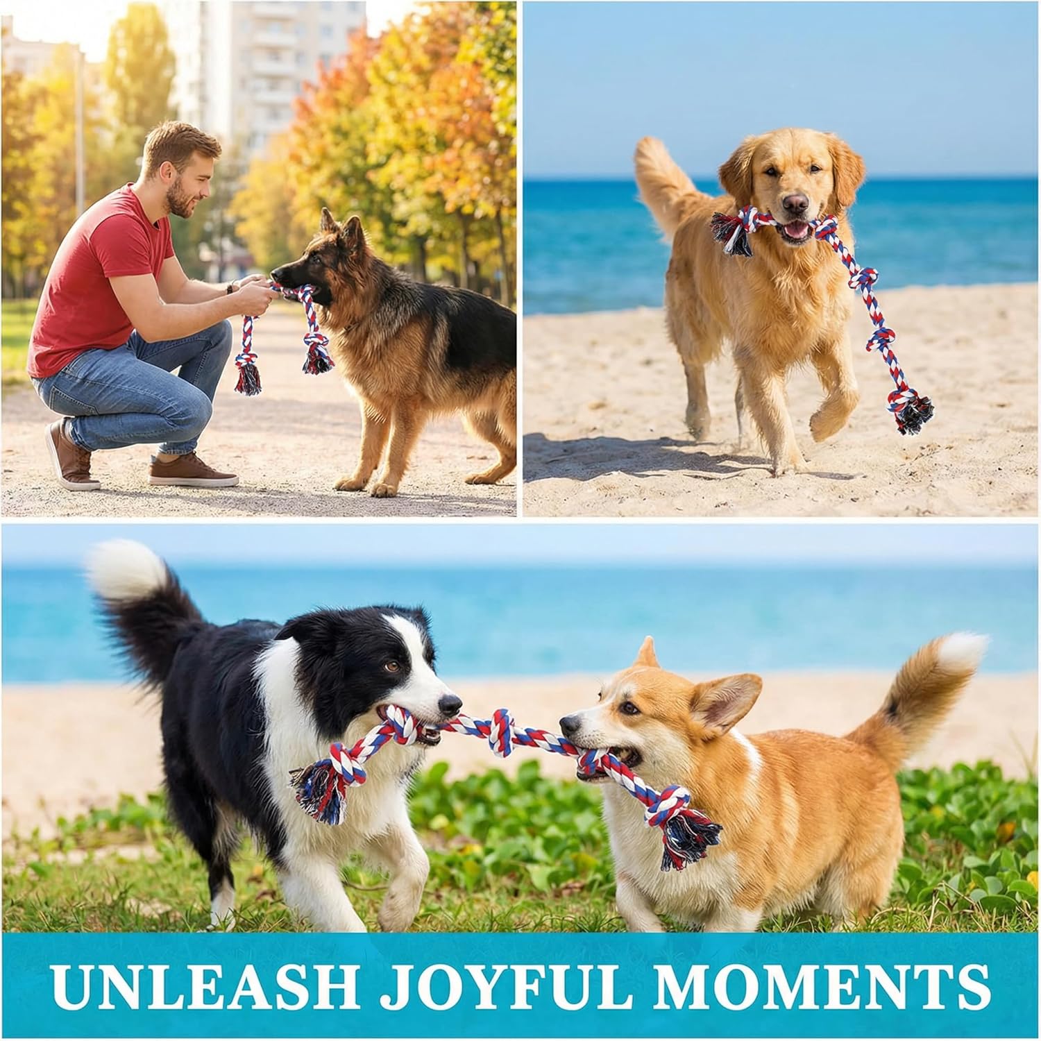 Paw-FECT Piece - Juguete de cuerda para perro de alta resistencia X...