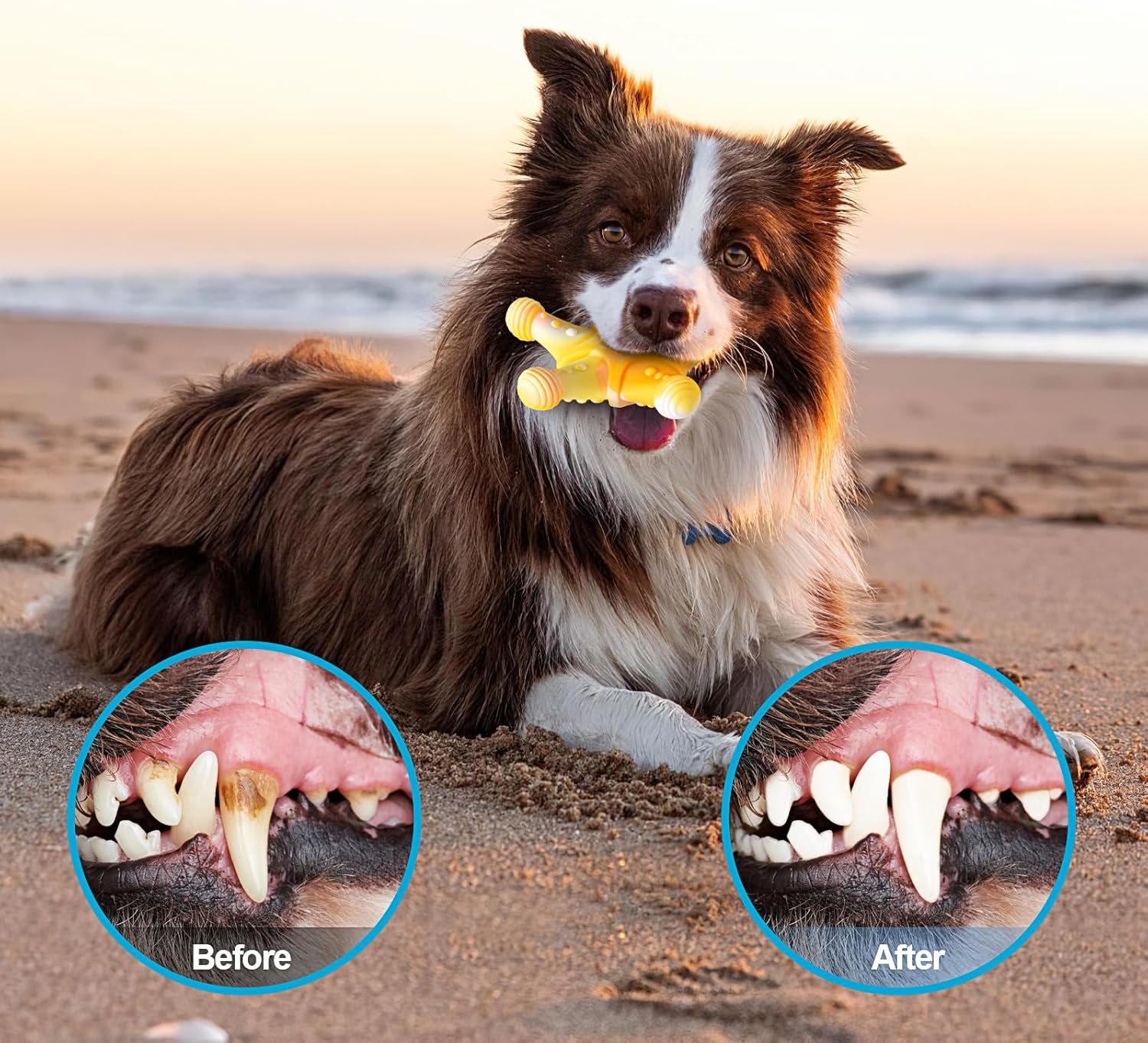 NEZIN Juguetes masticables para perros, juguetes indestructibles pa...