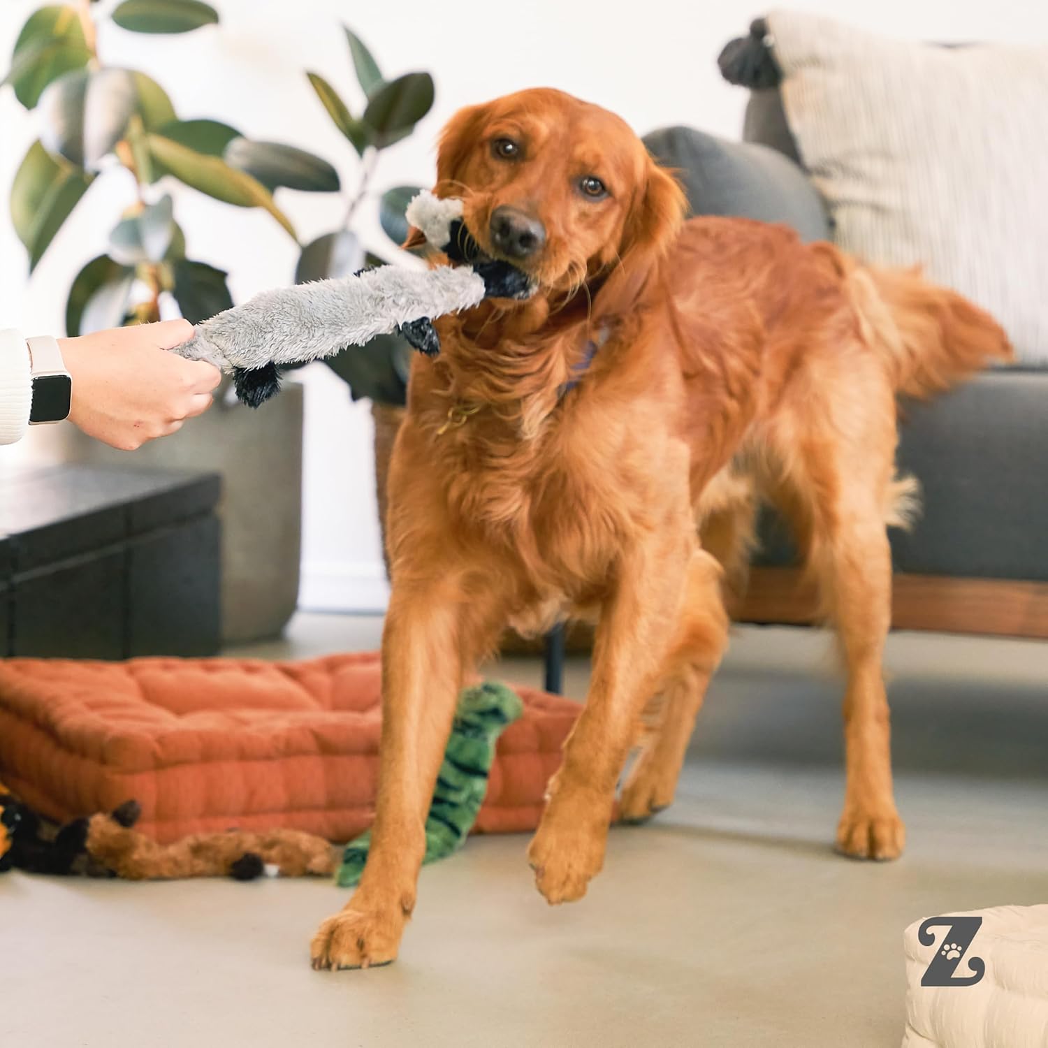 ZippyPaws - Peltz Skinny - Juguete de peluche para perro, sin relle...