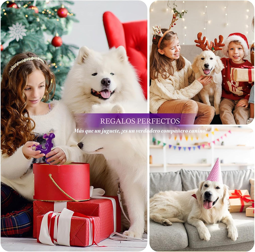 Frienhund Juguetes resistentes para perros masticadores agresivos,...