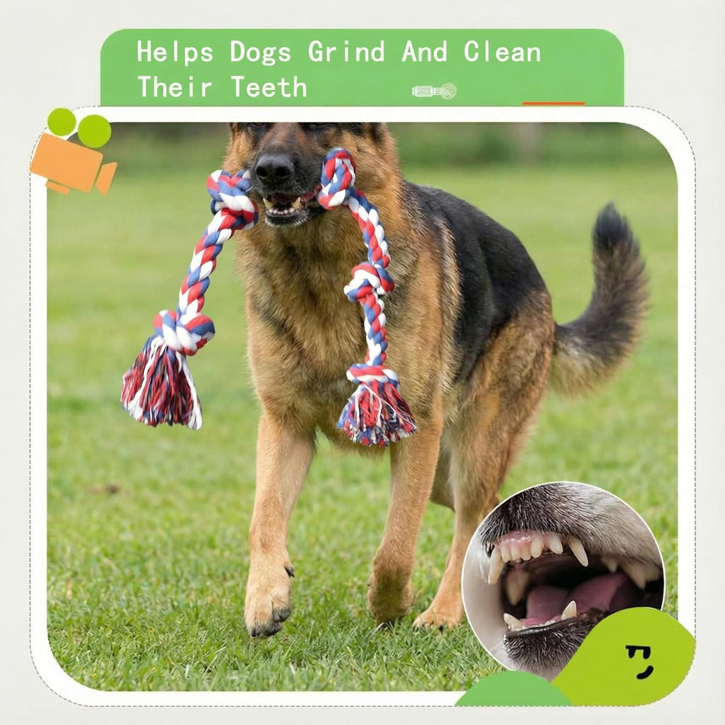 Paw-FECT Piece - Juguete de cuerda para perro de alta resistencia X...