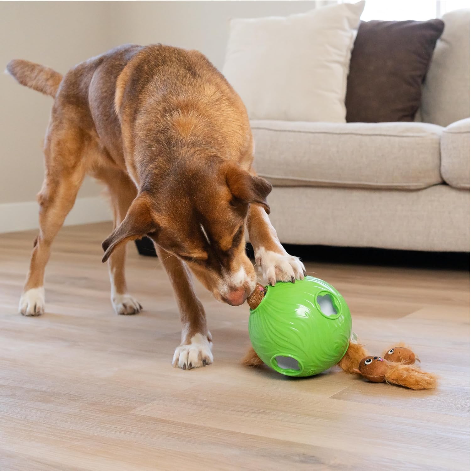 Outward Hound by Nina Ottosson - Bola de Rompecabezas para Perros S...