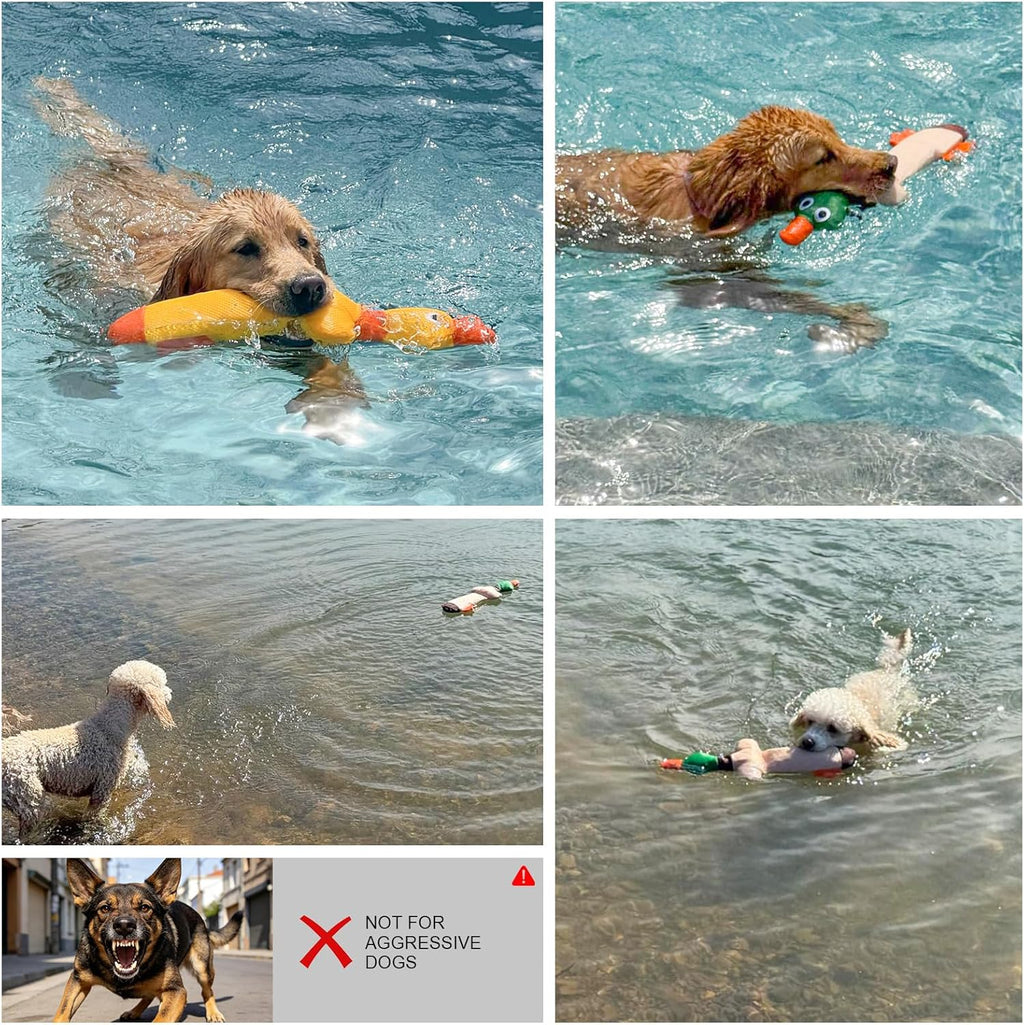 BEAUTYZOO Juguetes flotantes de piscina de agua para perros, paquet...