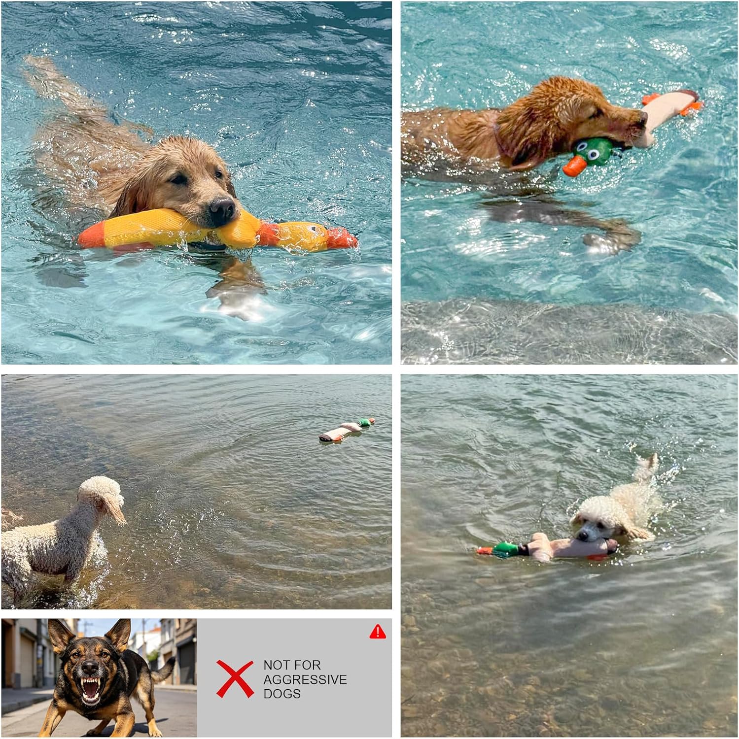 BEAUTYZOO Juguetes flotantes de piscina de agua para perros, paquet...