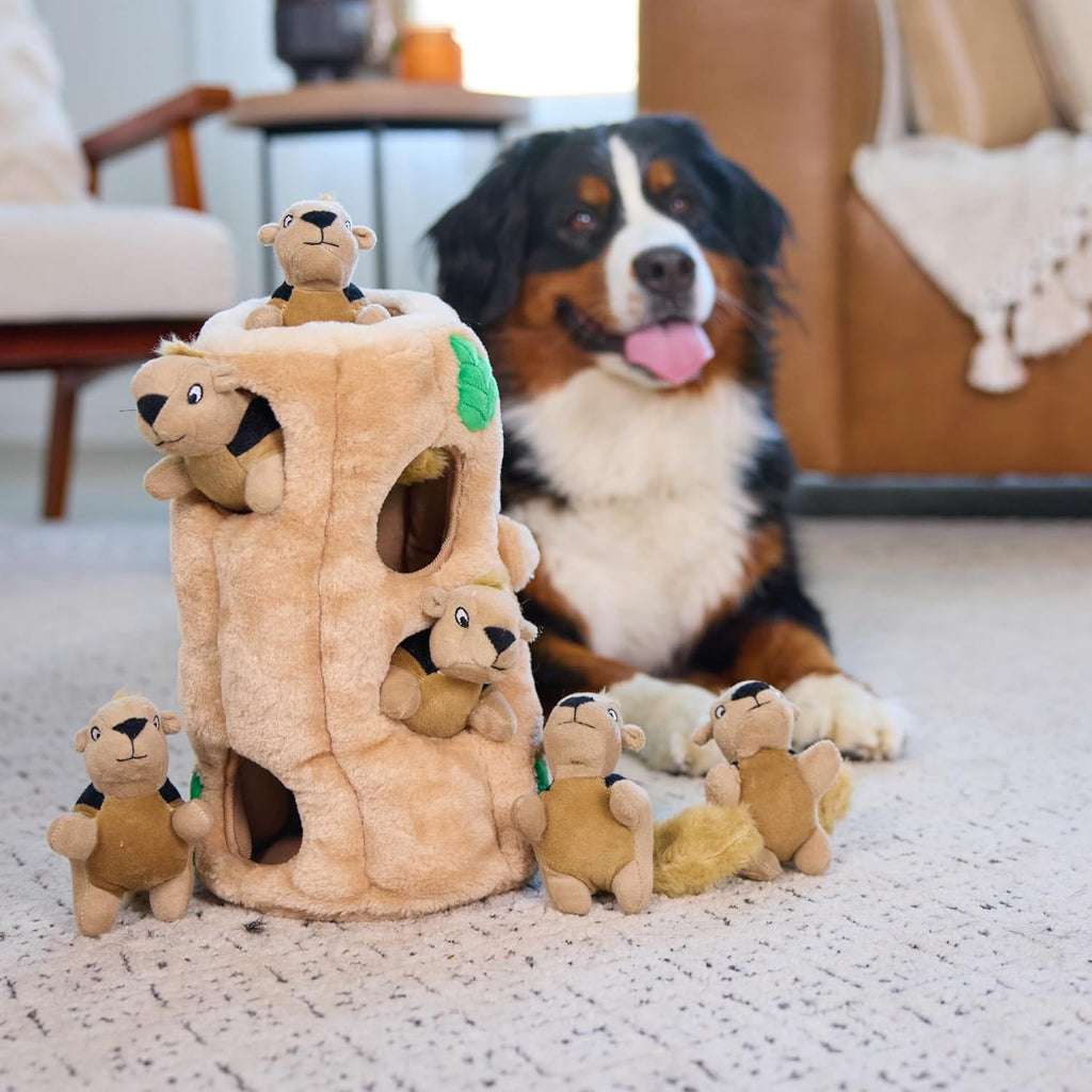 Outward Hound Hide A Squirrel - Rompecabezas de peluche para perro,...