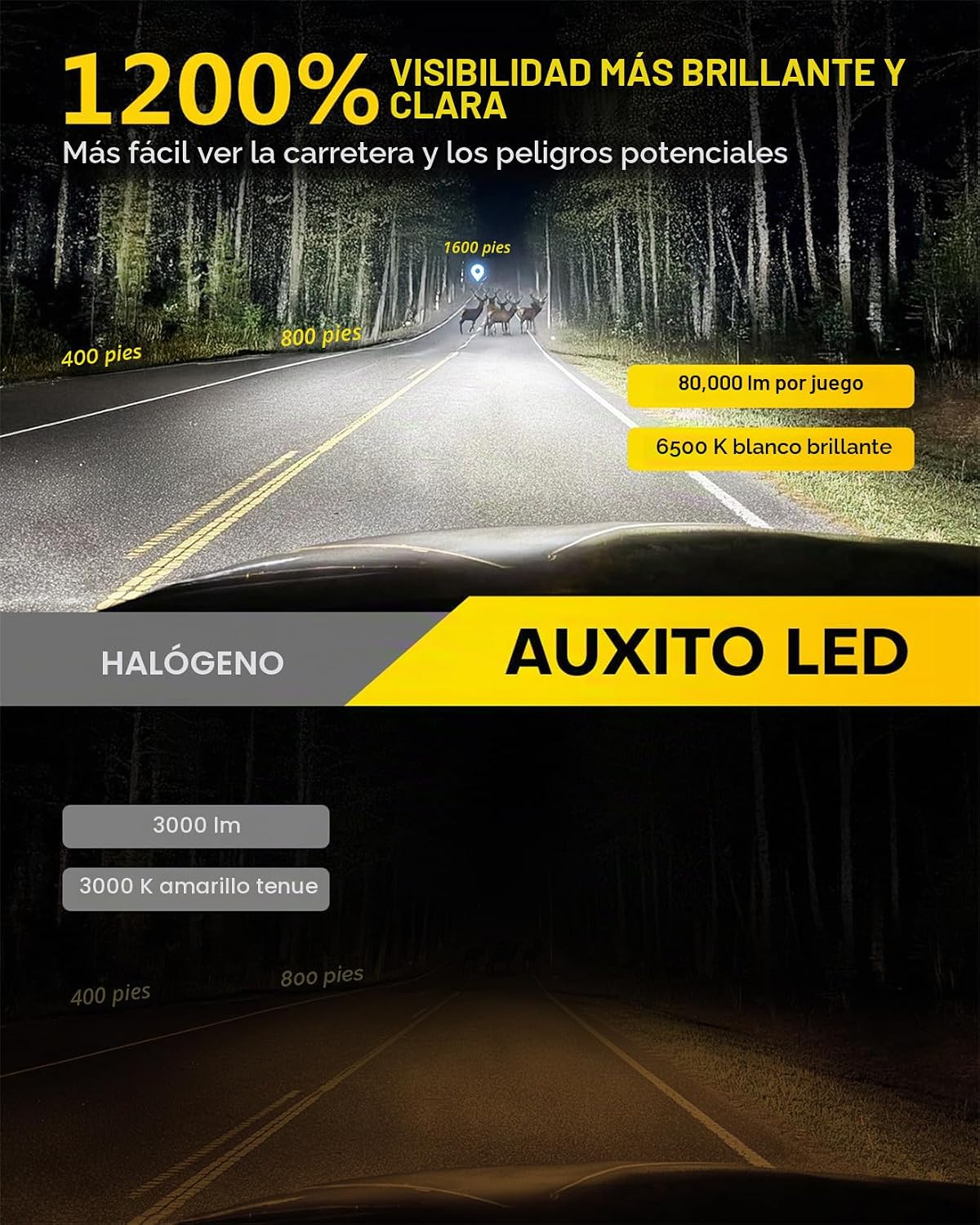 AUXITO Bombilla LED H11 H8 H9 H16 80000LM 6500K blanco frío, 22 W,...