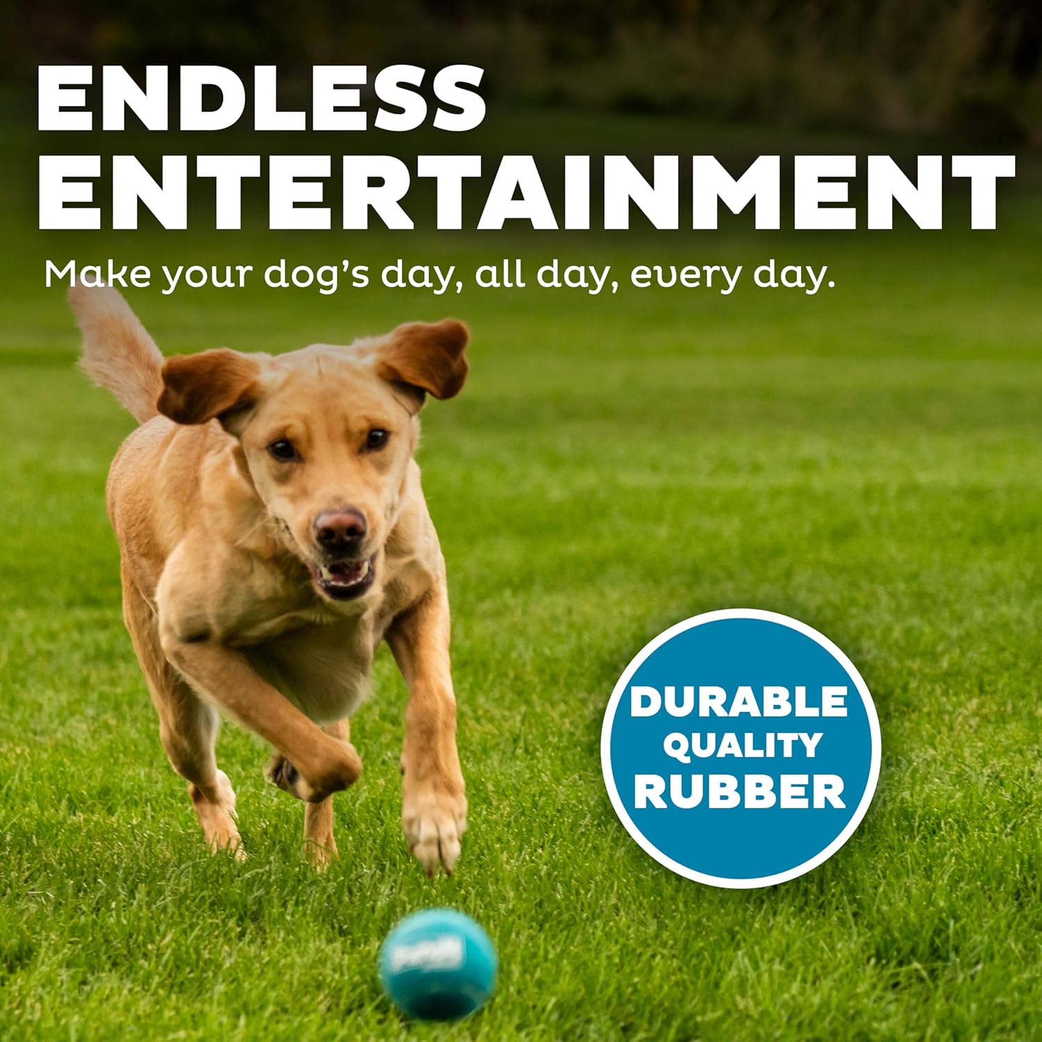 Outward Hound Squeaker Ballz - Juego de 4 pelotas de tenis para per...