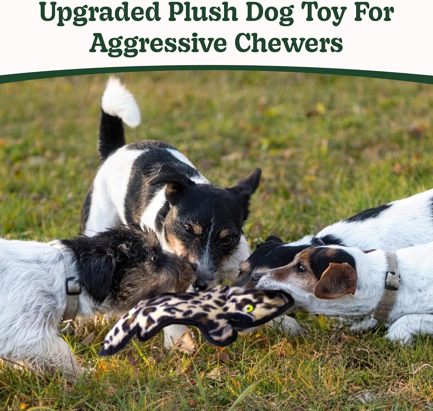 SHARLOVY - Juguetes para perros sin relleno crujientes y chillones,...