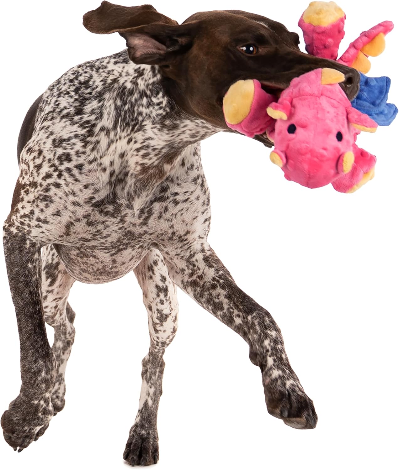 goDog - Juguete de peluche chirriante de dragón para perro, tecnolo...