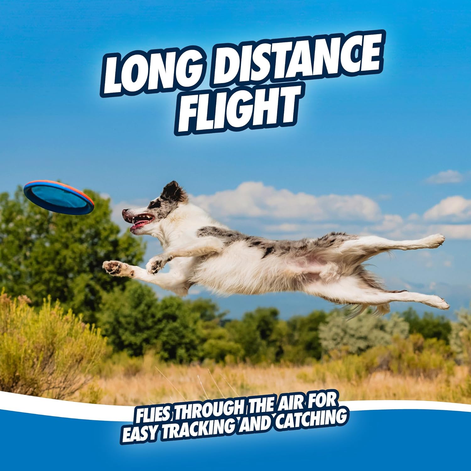 Chuckit! Paraflight - Juguete de disco volador para perro, volante...