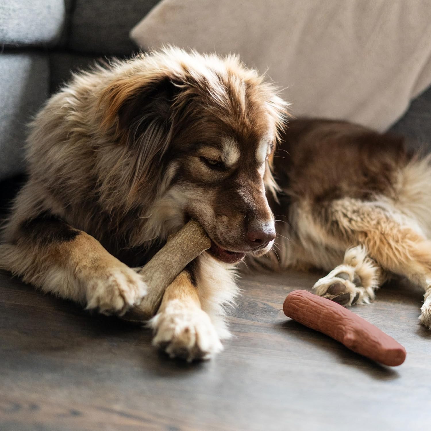 Outward Hound Dogwood - Juguetes masticables duraderos para perros,...