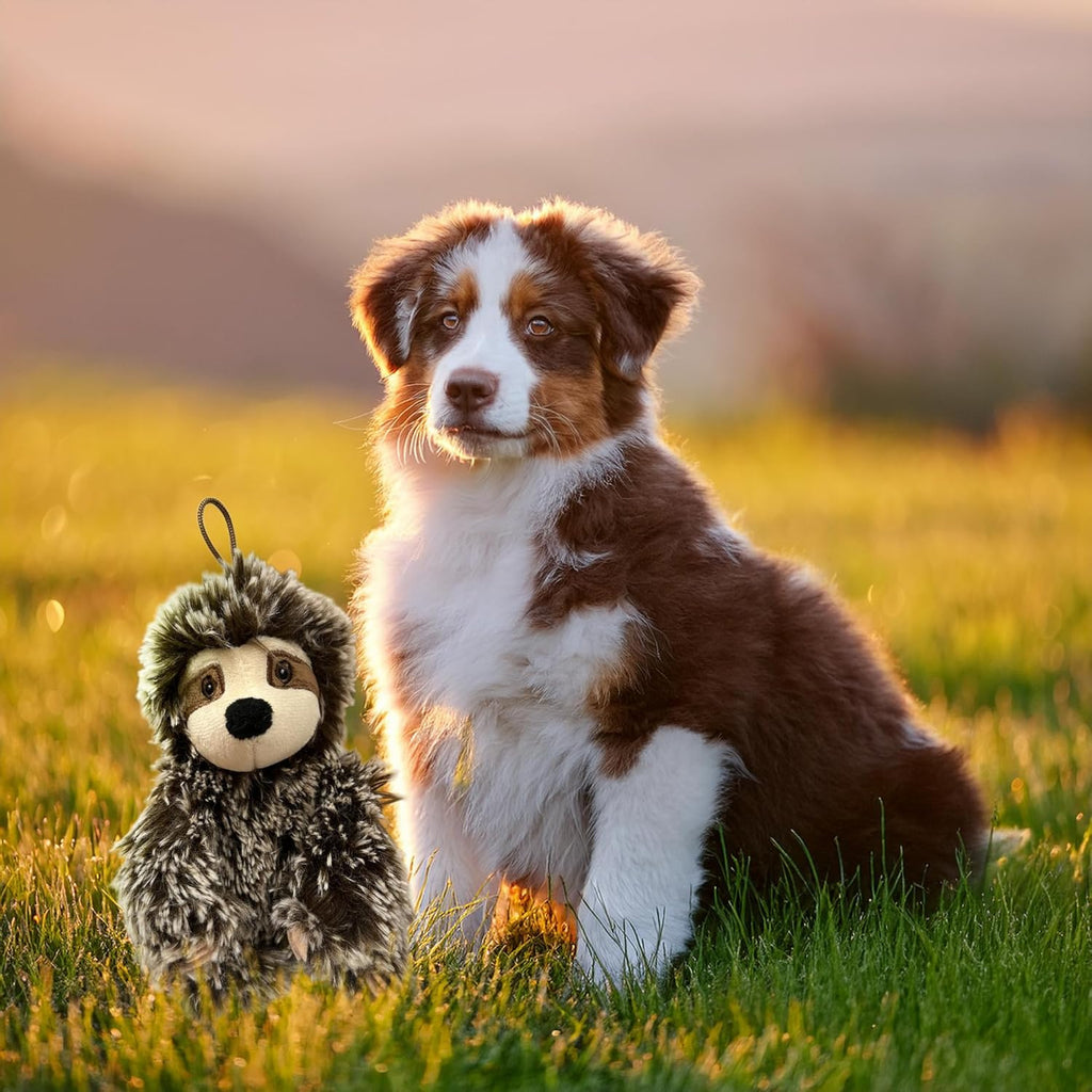 Juguete para perro perezoso con chirriador, juguete mediano para pe...