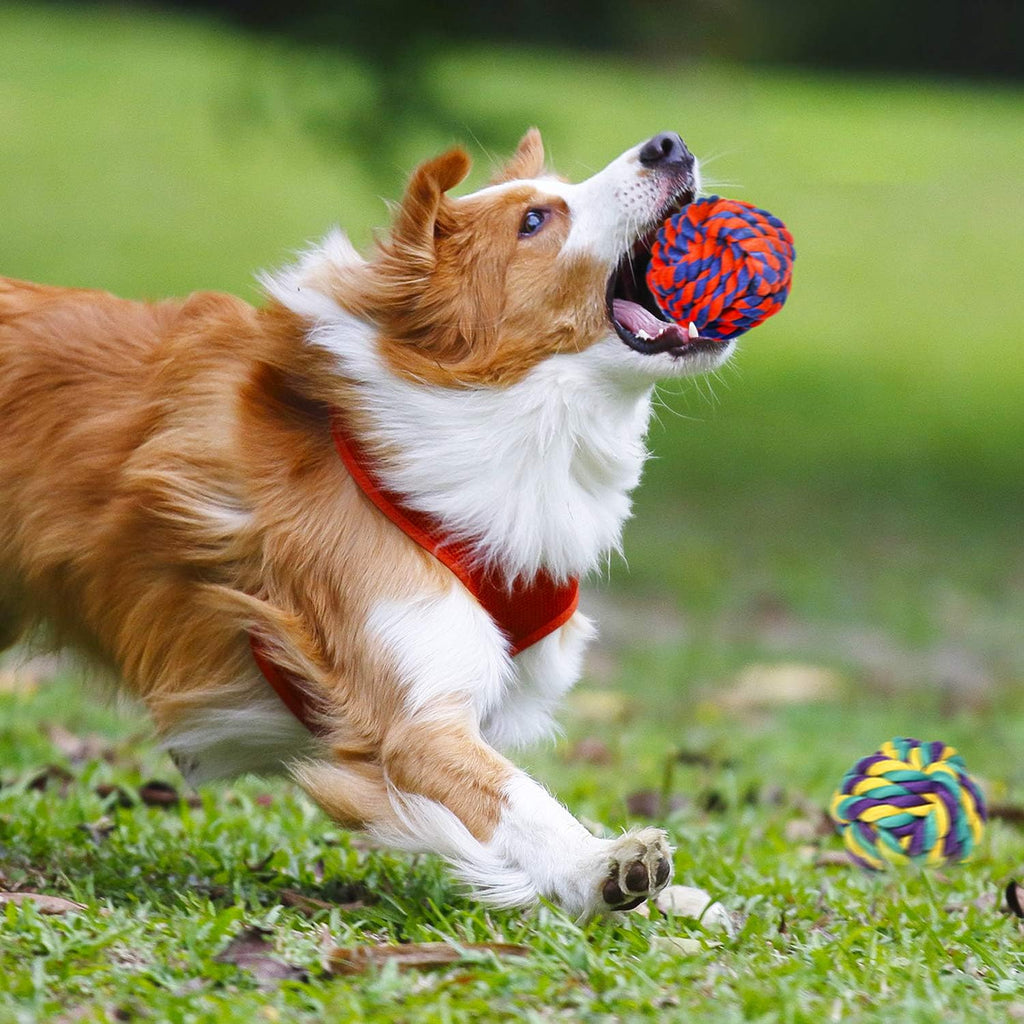 SHARLOVY Juguetes masticables grandes y resistentes para perros mas...