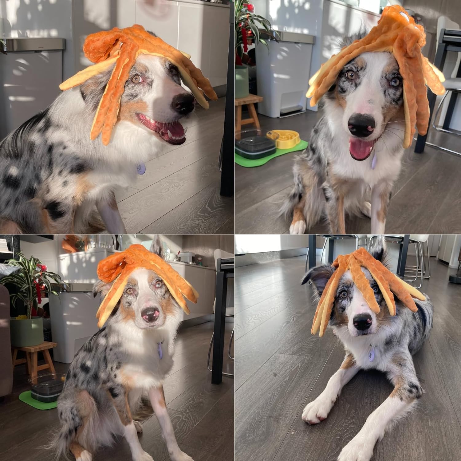 HGB Juguetes chirriantes para perros, pulpo sin relleno, juguetes g...