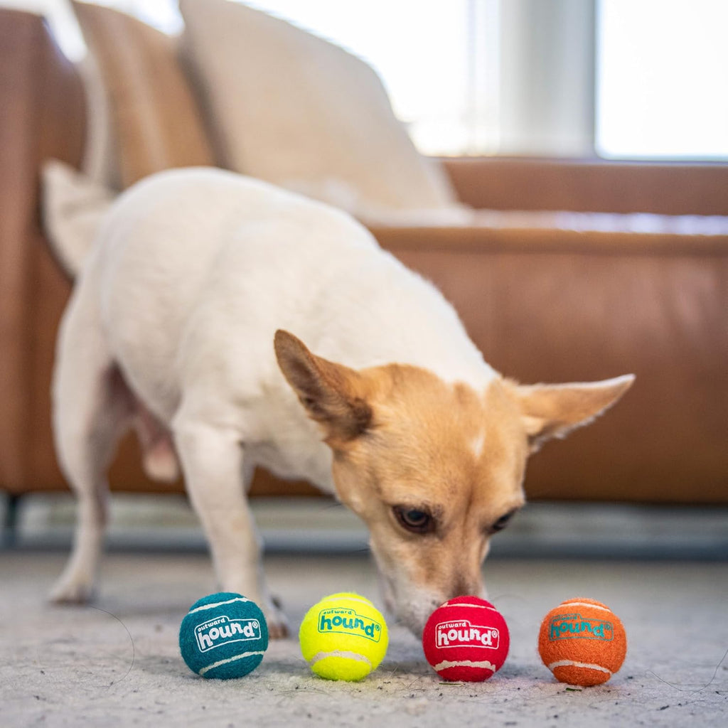 Outward Hound Squeaker Ballz - Juego de 4 pelotas de tenis para per...