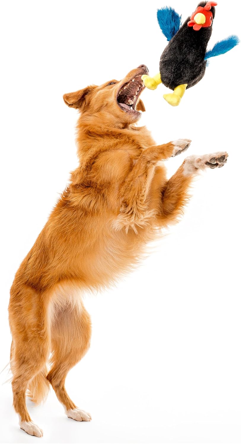 Playology Juguetes para Perros | Juguete de Peluche Gallina Animal...