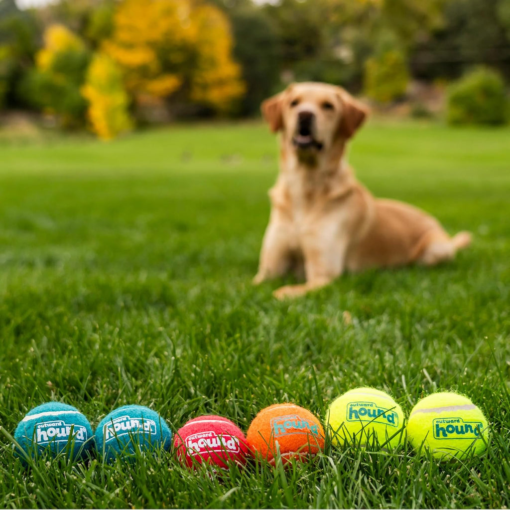 Outward Hound Squeaker Ballz - Pelotas de tenis chirriantes para pe...